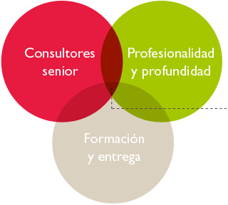Nuestra Filosofía: consultores seniors, profesionalidad y profundidad, formación y entrega 